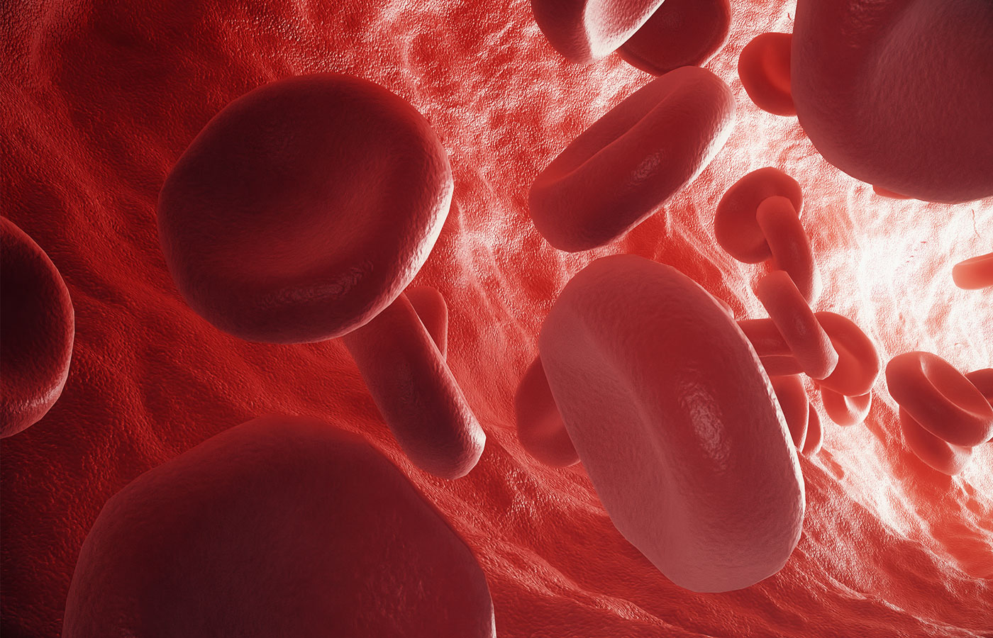 3d rendering red blood cells